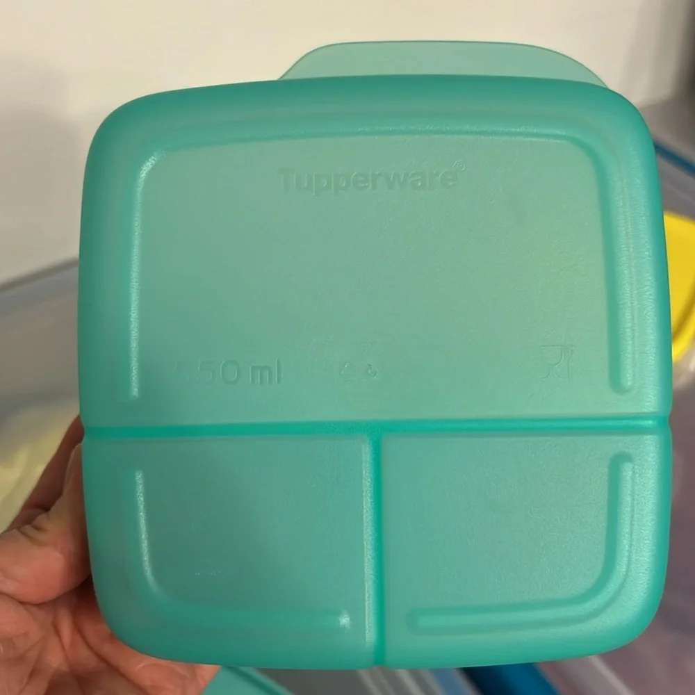 New from Tupperware Perfect lunchbox food storage container